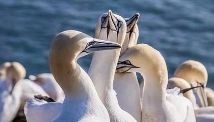 昭通最新社会保障卡过期要换吗方法分析(最方便真实的昭通社会保障卡过期要换吗现在方法)